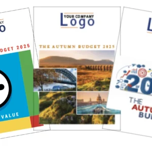 Budget Summaries Img